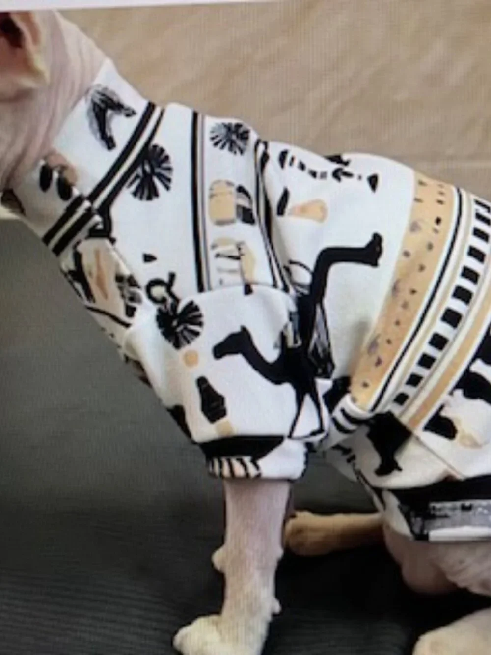 Sphynx Devon Rex Hairless Cat Clothes Stretchy Soft Fabric